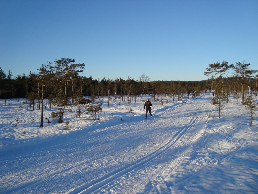 Malene øver sit glid på ski