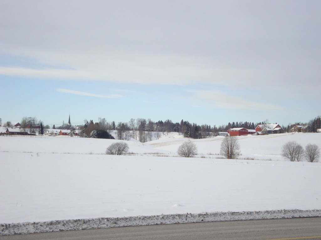 Udsigten op mod Slogumgård