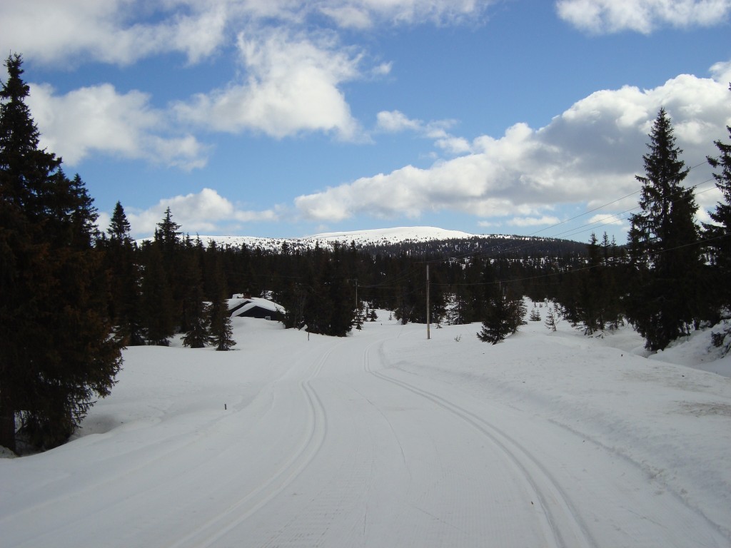 Malene på ski. Hun fik bare nydt udsigten :)