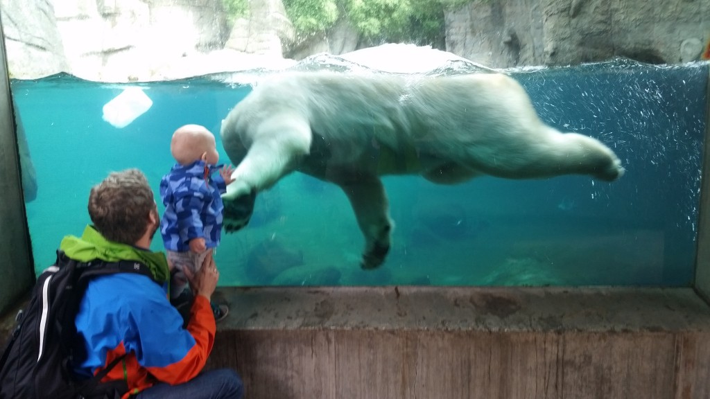 Aalborg ZOO