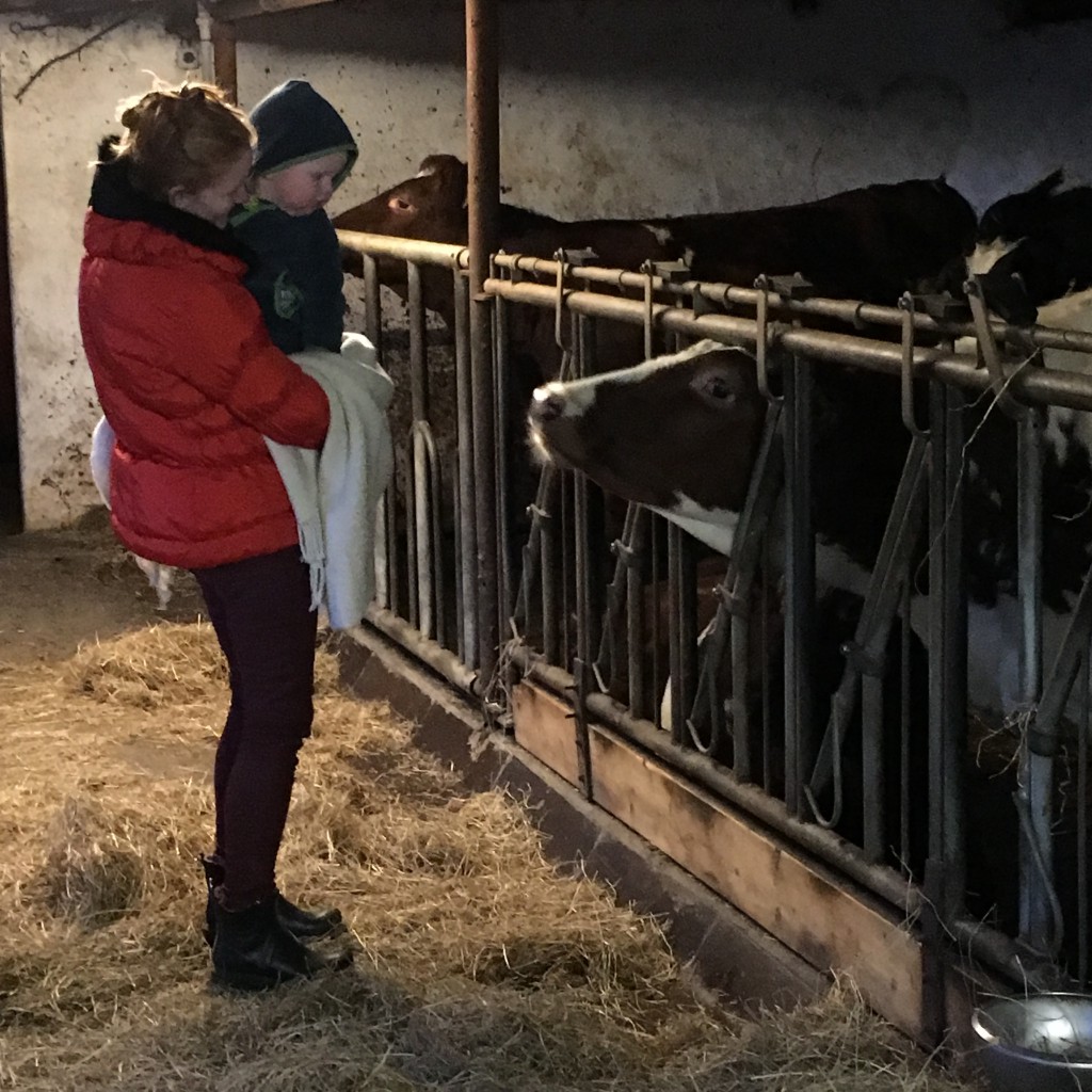 På besøg i stalden. Julen 2015. Malene og Erik