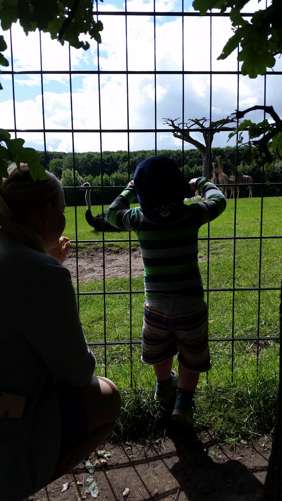 Aalborg ZOO